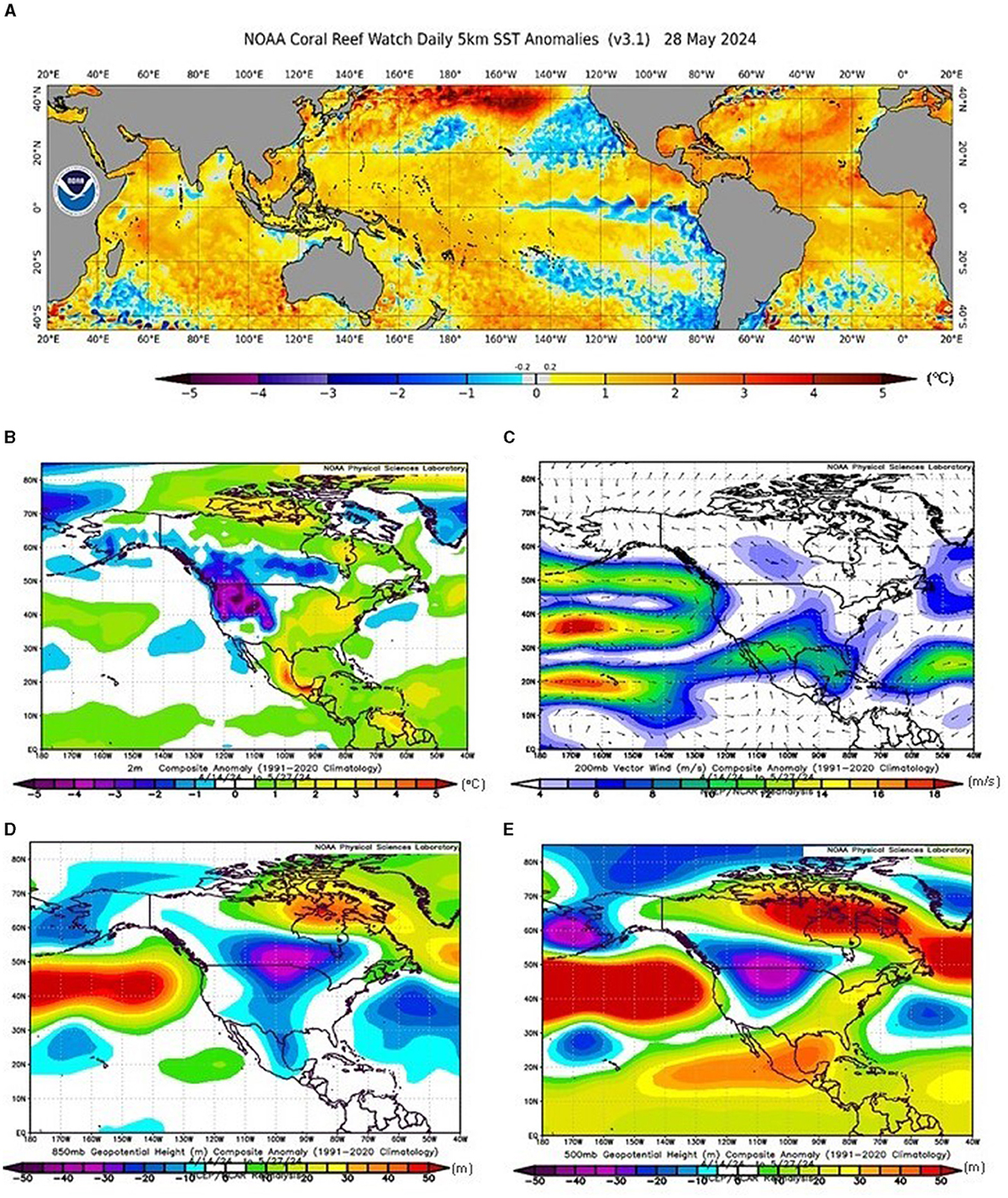 Spring 2024 Heatwave: Risks of Forest Fires & Pet Safety